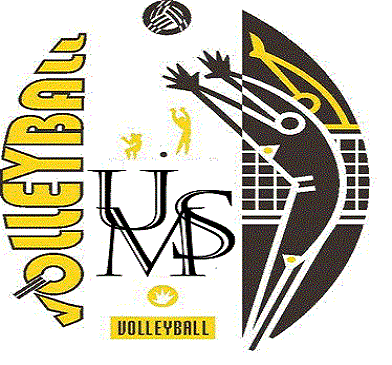Logo USM Volley